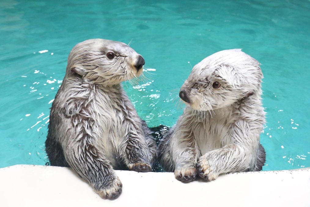 鳥羽水族館＆鳥羽湾クルーズ